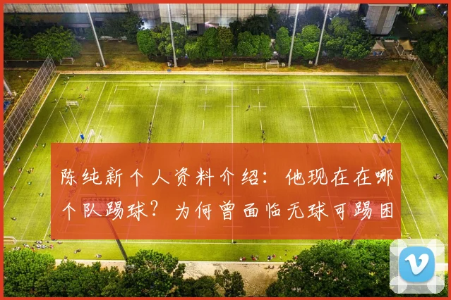陈纯新个人资料介绍:他现在在哪个队踢球?为何曾面临无球可踢困境,最新转会消息与场上位置解析