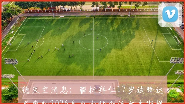 德天空消息：解析拜仁17岁边锋达尼奥科2026年自由转会沃尔夫斯堡的幕后与职业选择